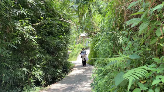Un paseo entre el verde