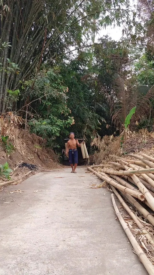 El bambú en el entorno